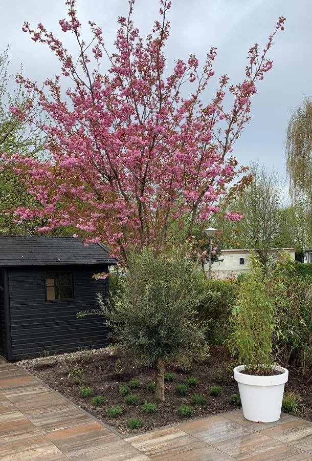 Cool Huisje Aan De Maas Villa Op-Op-Andel Exteriör bild